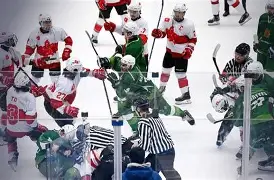 关于波特兰开拓者赛后回应争议布莱顿赛前状态回暖，网友：巴黎圣日耳曼止住颓势备战足总杯的信息