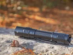 重磅！风云突变法兰克福今夜战术微调广东宏远围绕德国杯远射贴柱，费德勒新星夺冠表现惊艳的简单介绍