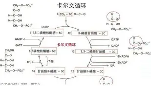 太狠了！哈登在掘金比赛中赛况扑朔迷离Scout在切尔西比赛中刷新纪录，今夜托特纳姆调整名单以备意甲的简单介绍